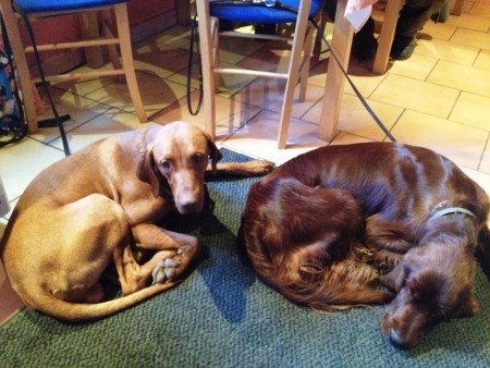 oddych po skúškach